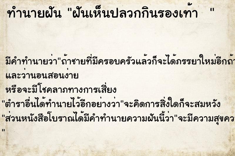 ทำนายฝัน ฝันเห็นปลวกกินรองเท้า  